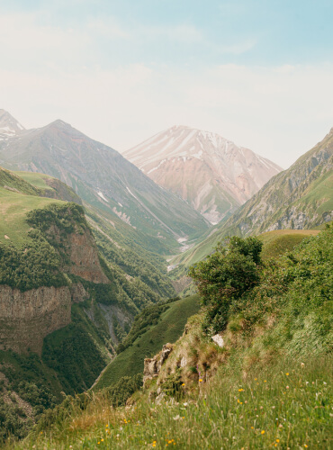 Berglandschaft mit klarem Himmel, Wiese mit Tannen und Aussicht ins Tal